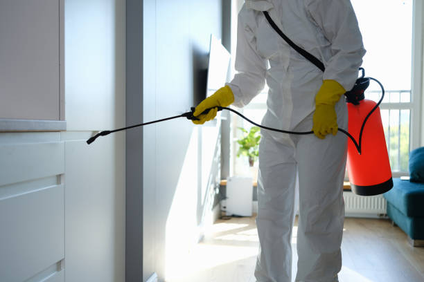 Best Local Mold Removal Service  in Skidmore, TX