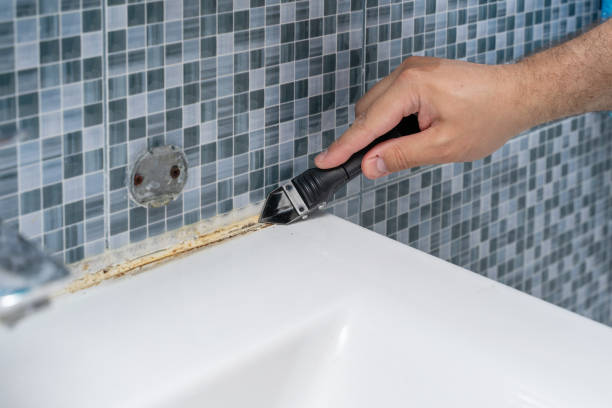 Best Toxic Mold Removal  in Skidmore, TX